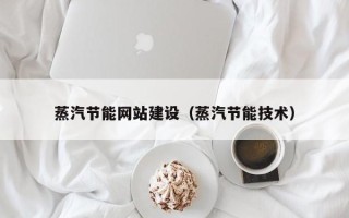 保山蒸汽节能网站建设（蒸汽节能技术）